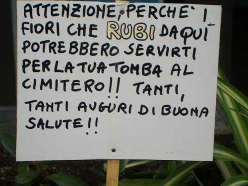 Foto Divertente: Non rubate i fiori