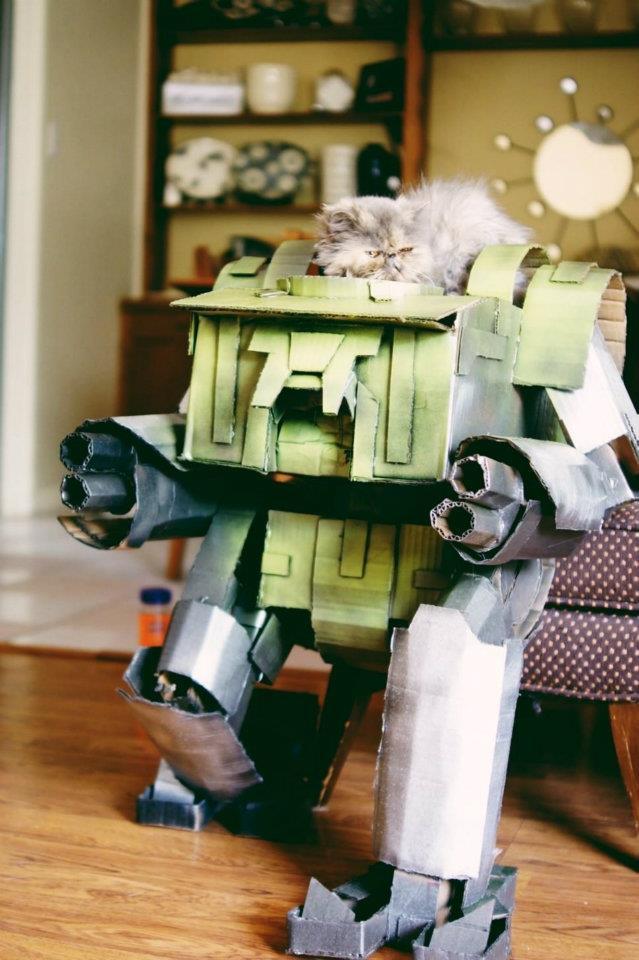 Foto Divertente: Gatto che assomiglia ad un transformers