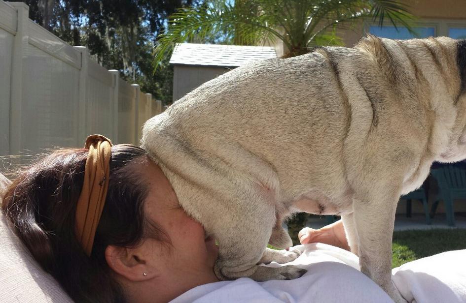Foto Divertente: Donna con cane seduto sul viso