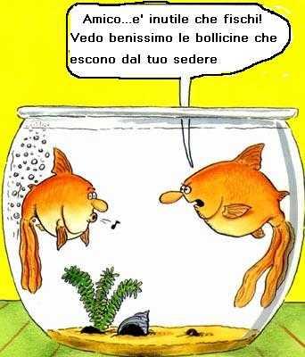 Foto Divertente: bollicine!