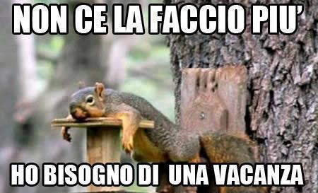 Foto Divertente: Scoiattolo stanco sdraiato sul ramo