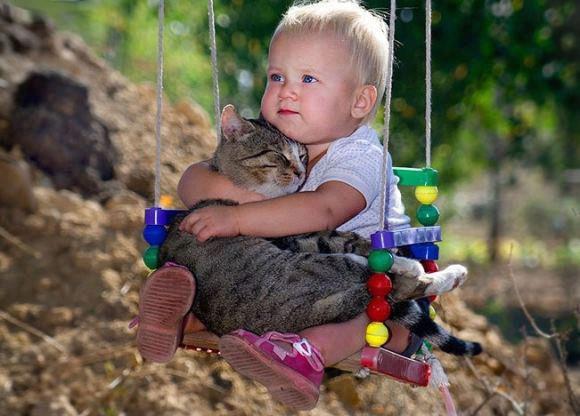 Foto Divertente: Gatto tenuto tra le braccia di un bambino