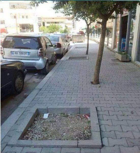 Foto Divertente: Alberi sul marciapiede fuori dagli appositi spazi