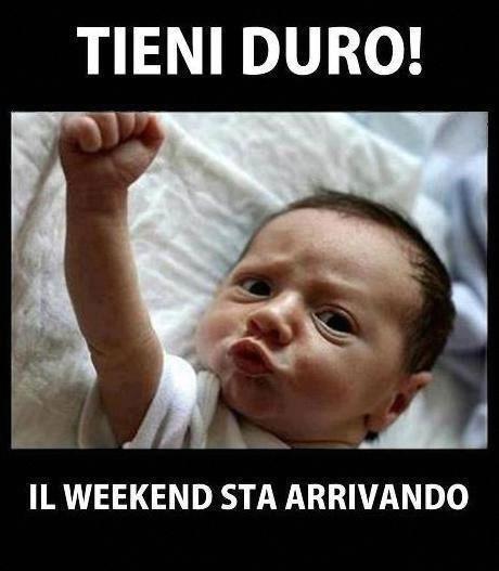 Foto Divertente: Bambino che aspetta il fine settimana