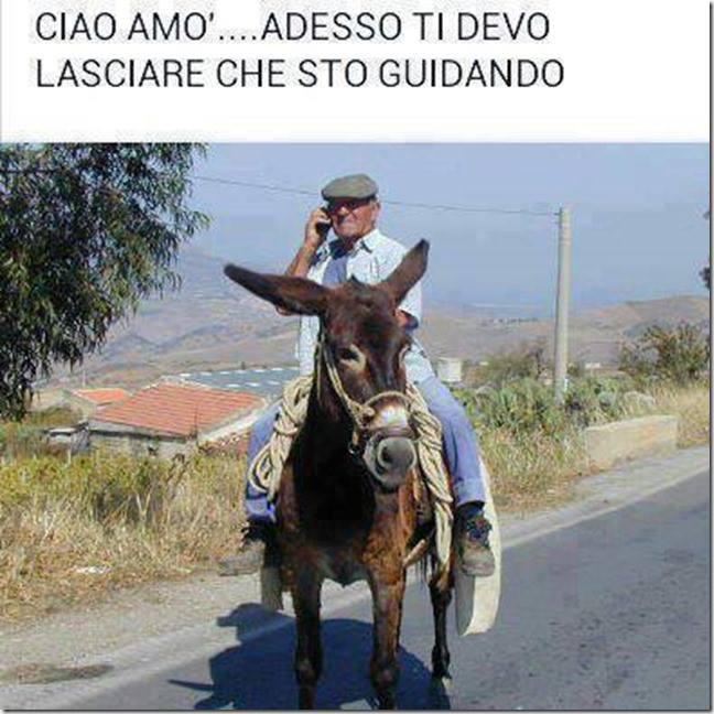 Uomo in groppa ad un asino che sta telefonando