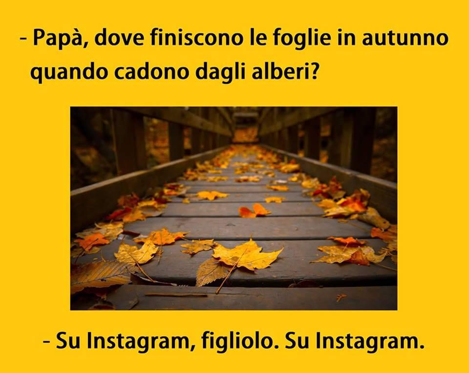 Foglie autunnali su instagram