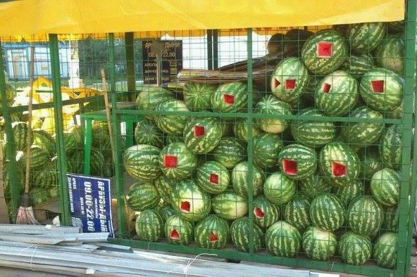 Foto Divertente: Trasporto di cocomeri...con qualche pezzo in meno