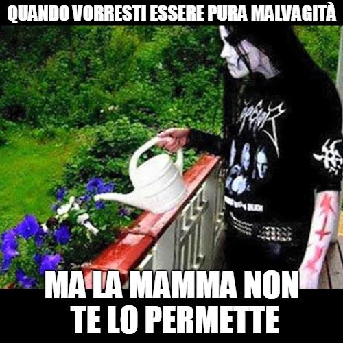 Foto Divertente: Donna trasgressiva che annaffia i fiori sul balcone