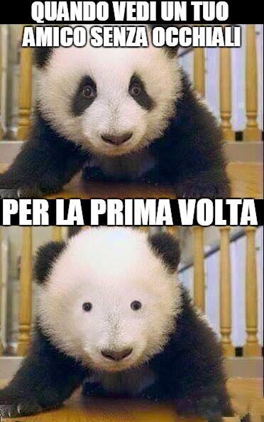 Foto Divertente: Panda con e senza macchie all'occhio