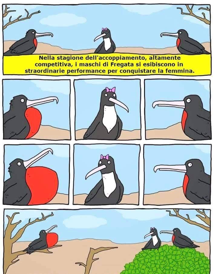 Foto Divertente: Corteggiamento tra uccellini..e vince chi ha i soldi!