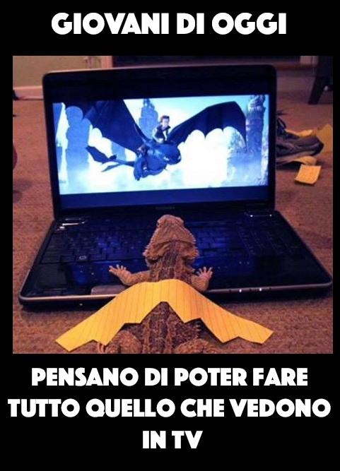 Foto Divertente: Lucertola con le ali di cartone che guarda un drago al pc