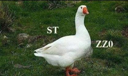 Foto Divertente: Rebus con l'oca