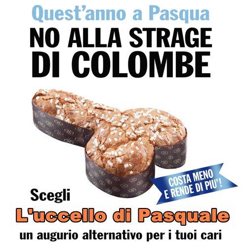 Foto Divertente: Uccello pasquale al posto della colomba
