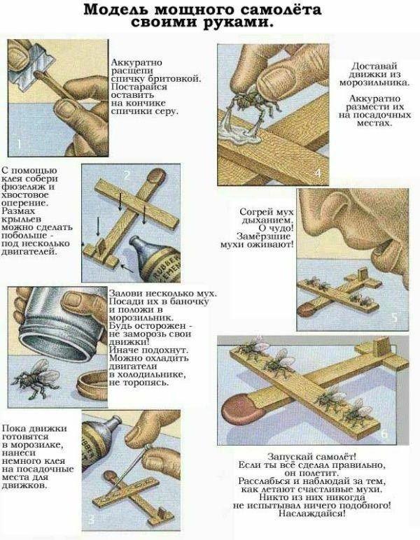 Foto Divertente: Come costruire un aereo utilizzando mosche e fiammifero