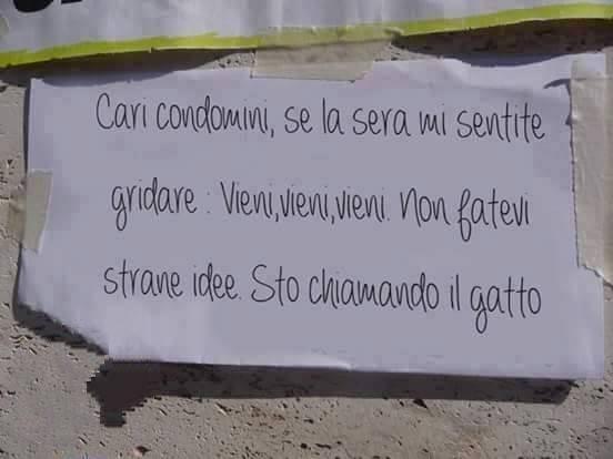 Foto Divertente: Cartello per i condomini: attenzione a quando chiamo il gatto