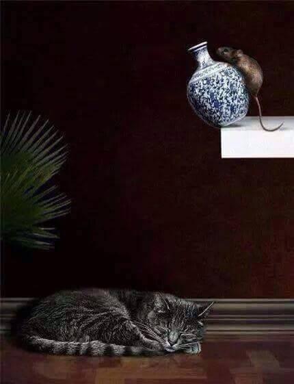 Foto Divertente: Un topo che sta per far cadere un vaso sul gatto
