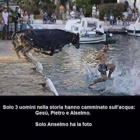 Foto Divertente: Toro che insegue un uomo e lo fa cadere in acqua