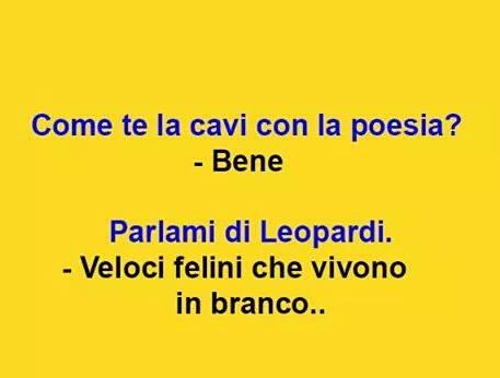 Foto Divertente: Domanda su Leopardi...ma male interpretata!