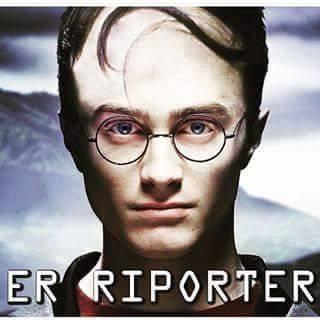 Harry Potter e il riportino dei capelli