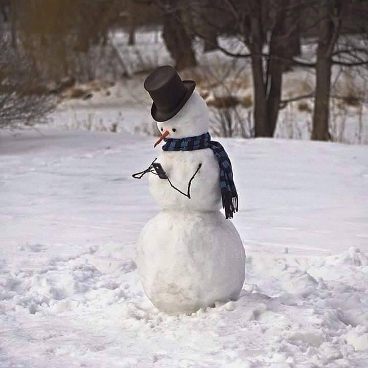 Pupazzo di neve con cellulare in mano