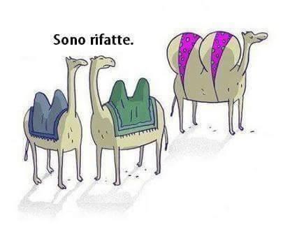 Foto Divertente: Cammello con le gobbe rifatte