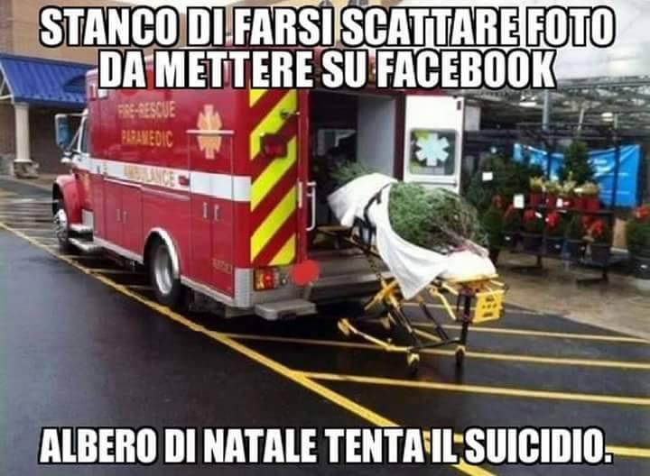 Albero di natale caricato in ambulanza