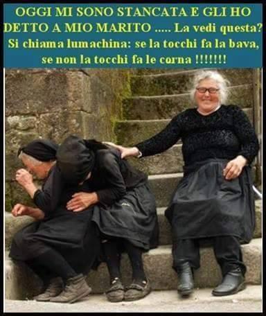 Foto Divertente: Tre anziane che parlano della lumachina