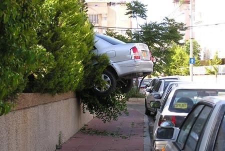 Parcheggio nella siepe