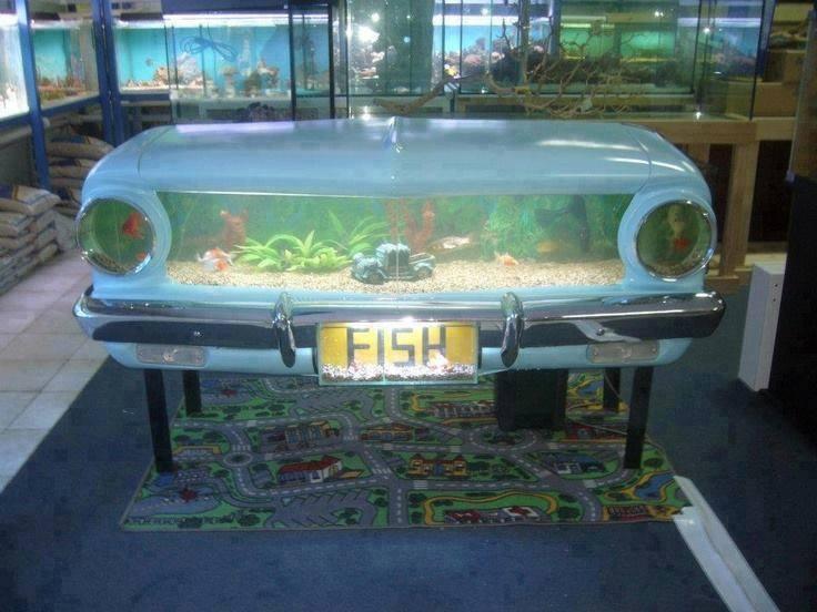 Acquario dentro parte anteriore auto