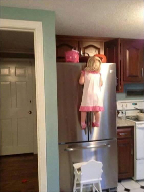 Foto Divertente: Bambina arrampicata al frigo