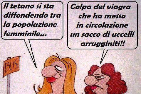 Foto Divertente: Due donne che parlano del viagra e degli uccelli arrugginiti