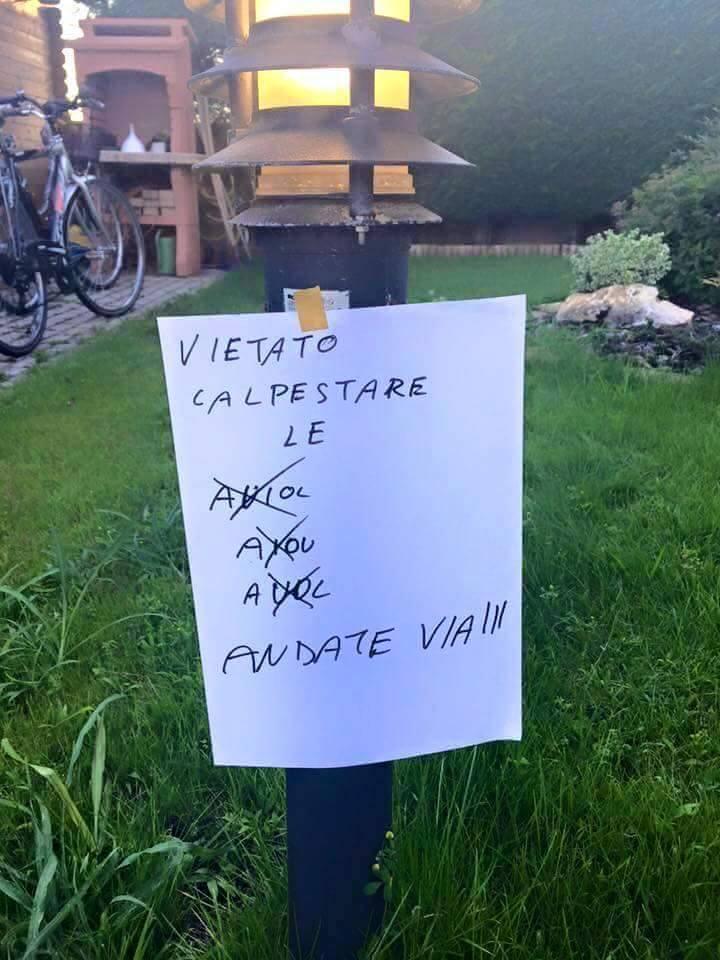 Foto Divertente: Cartello su un prato...non è riuscito a scrivere aiuola!