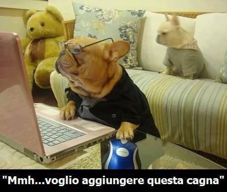Foto Divertente: Cane che guarda il pc ed usa il mouse