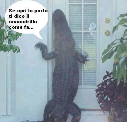 Coccodrillo enorme fuori dalla porta