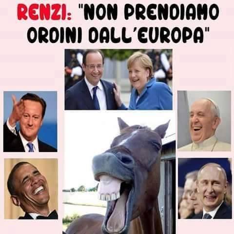 Foto Divertente: Una frase di Renzi derisa da tutti..anche dal cavallo