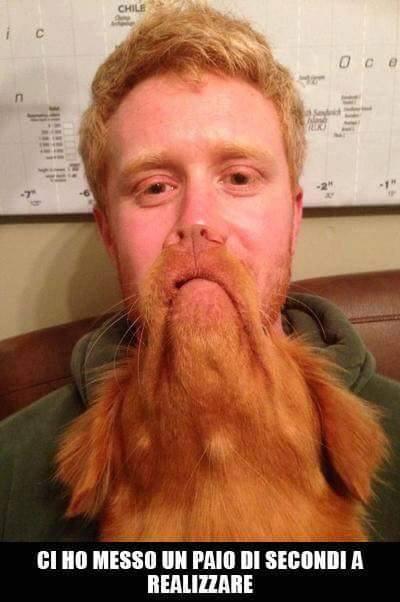 Cane sul viso di un uomo che sembra la sua barba
