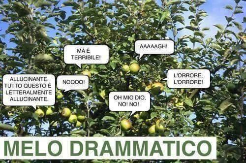 Foto Divertente: Mele che si lamentano tra loro sopra l'albero di melo-drammatico