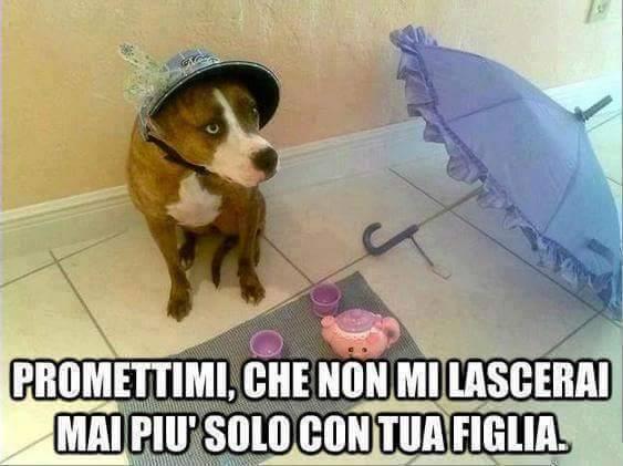 Cane con cappellino che prende il thè