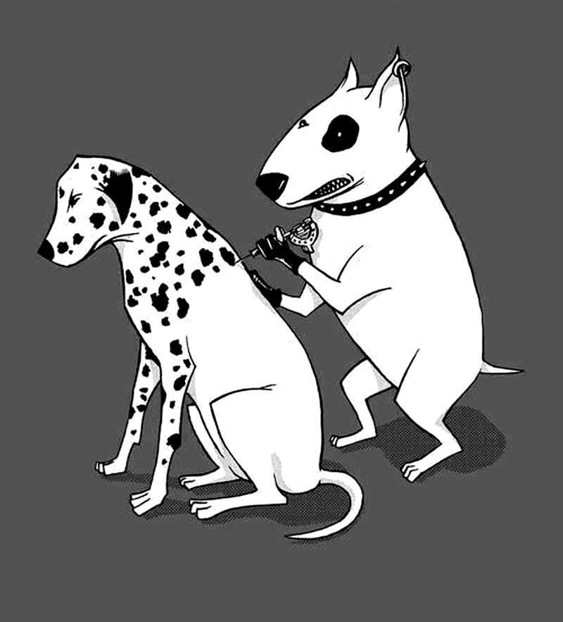 Cane che tatua un dalmata
