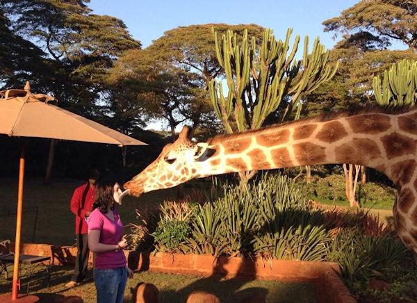 Foto Divertente: Donna che viene baciata da una giraffa