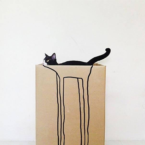 Foto Divertente: Gatto dentro ad una scatola con disegnato delle lunghe zampe
