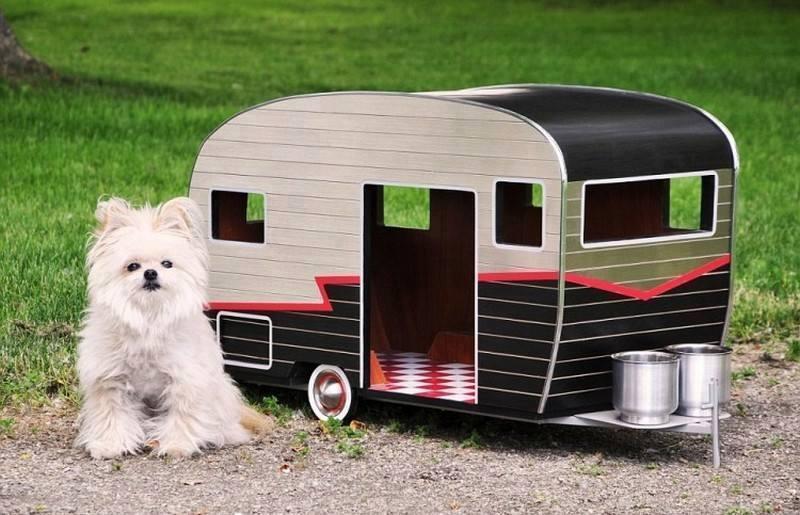 Foto Divertente: Cane con cuccia a forma di roulotte