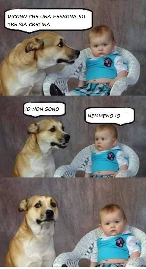 Foto Divertente: Cane che parla al bambino seduto su un seggiolone 
