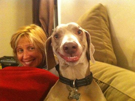 Foto Divertente: Selfie della padrona con cane che ride