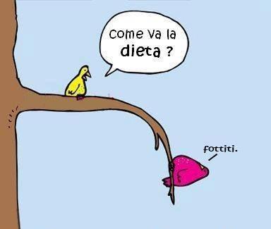 Foto Divertente: Uccellino che piega il ramo da quanto ha mangiato