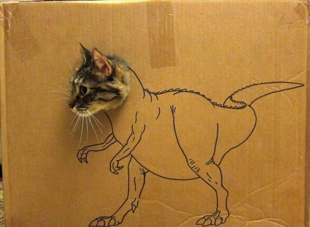 Foto Divertente: Scatola di cartone con testa del gatto e corpo da dinosauro