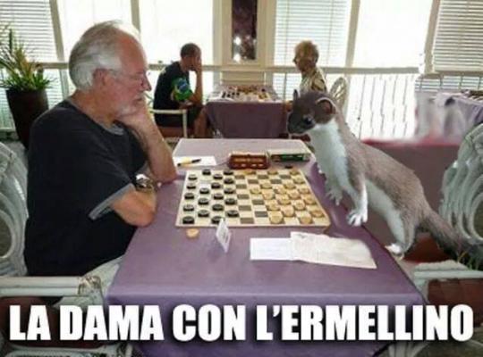 Foto Divertente: Uomo che gioca a dama con un ermellino