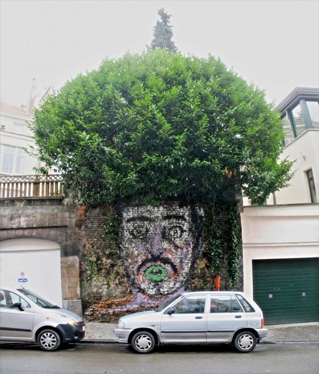 Viso di uomo disegnato su muro con sopra albero come capelli
