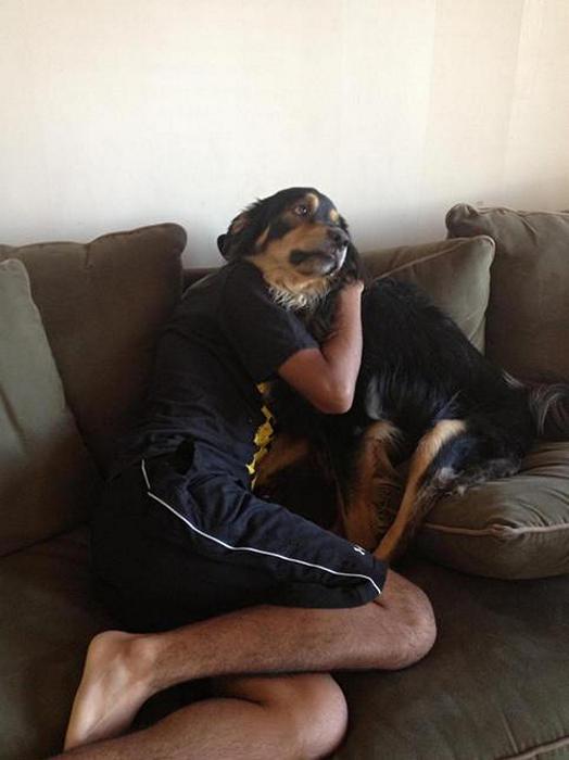 Foto Divertente: Uomo con il muso del cane al posto del viso seduto sul divano