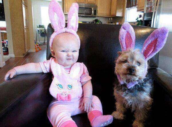 Foto Divertente: Bambina e canino con orecchie da coniglio